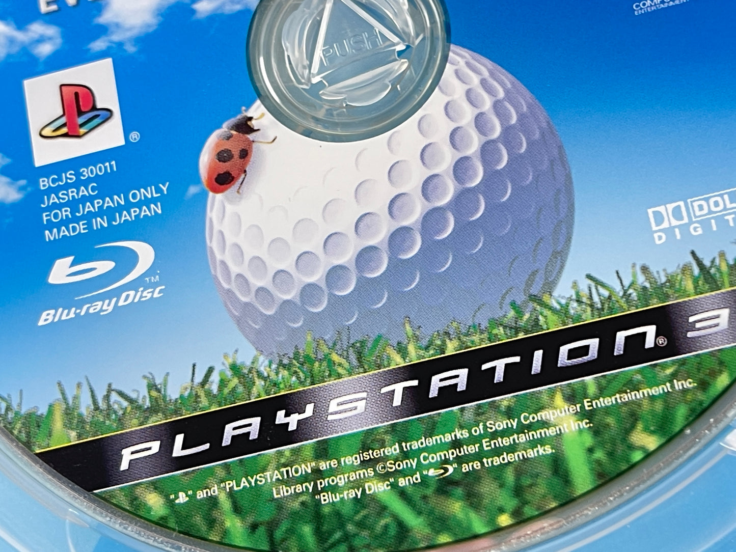 PS3 Everybody's Golf 5 (JPN Ver)