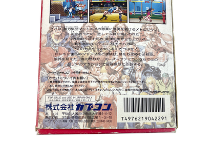 SFC FINAL FIGHT (JPN Ver)