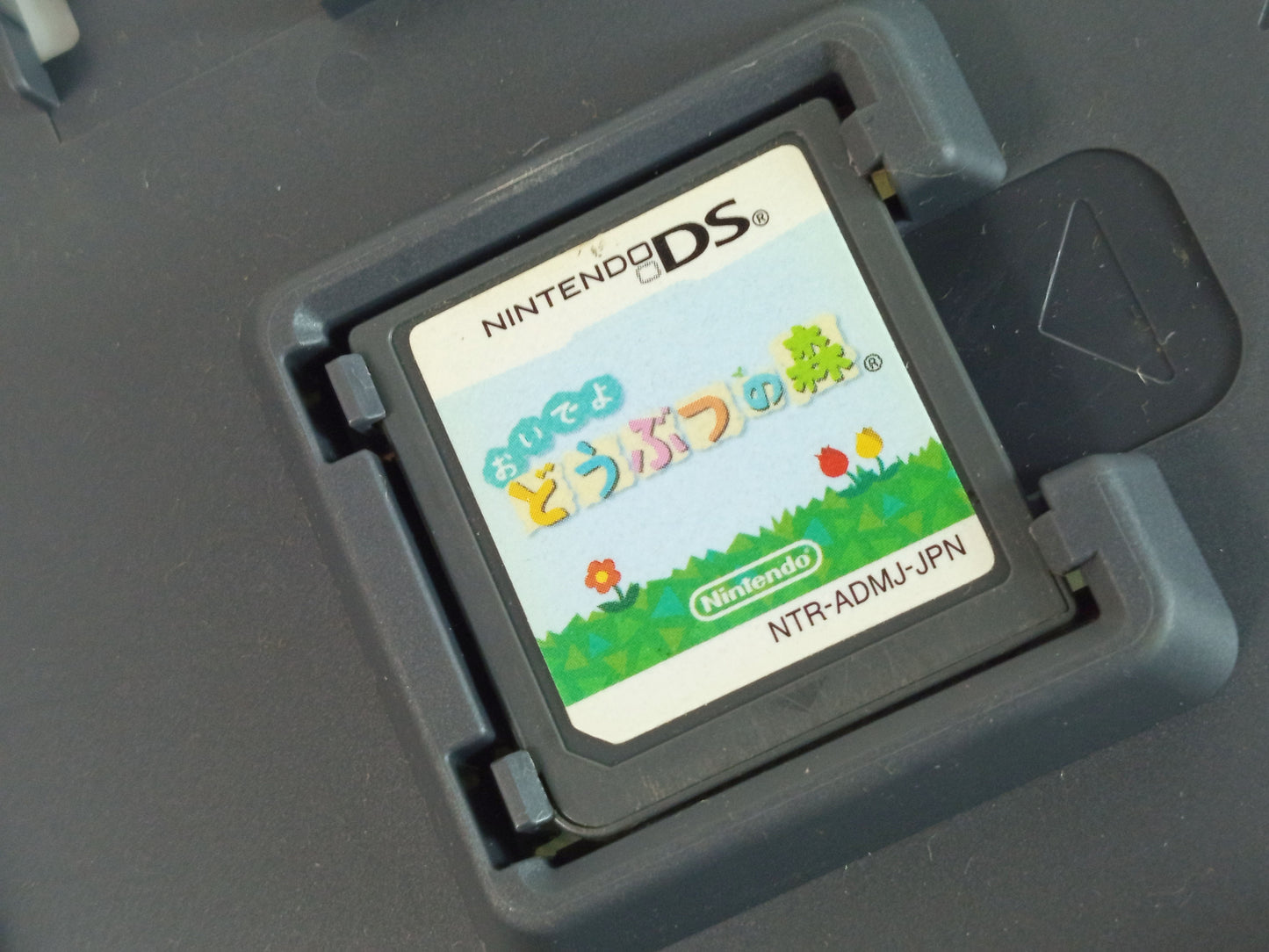 NDS Animal Crossing: Wild World doubutu no mori (JPN Ver)