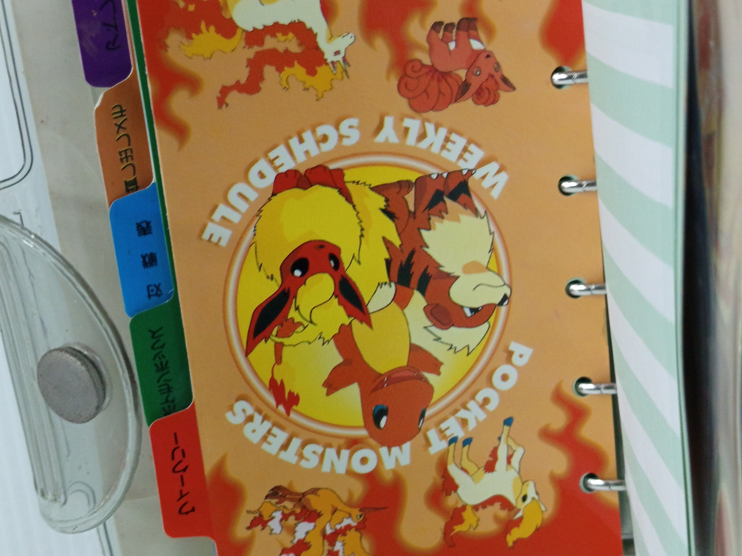 Pocket Monsters Mini Trainer's Book